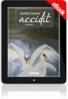 E-book - Accidit