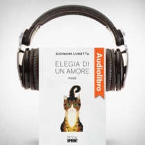 AudioLibro - Elegia di un amore