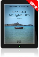 E-book - Una luce nel labirinto