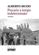 Precario a tempo indeterminato