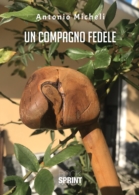 Un compagno fedele