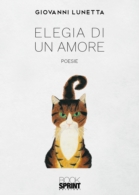 Elegia di un amore