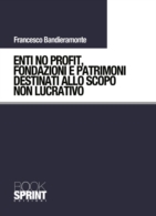 Enti no profit, Fondazioni e patrimoni destinati allo scopo non lucrativo